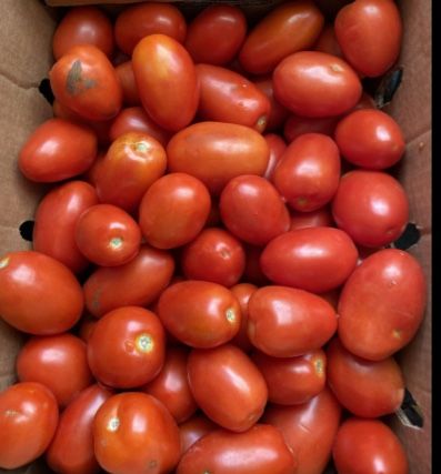 Tomatoes Roma For Sale
