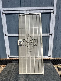 Screen door/security door