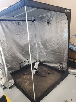 Full Grow Setup