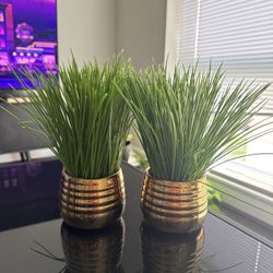 2 Decorative Fake Plants 