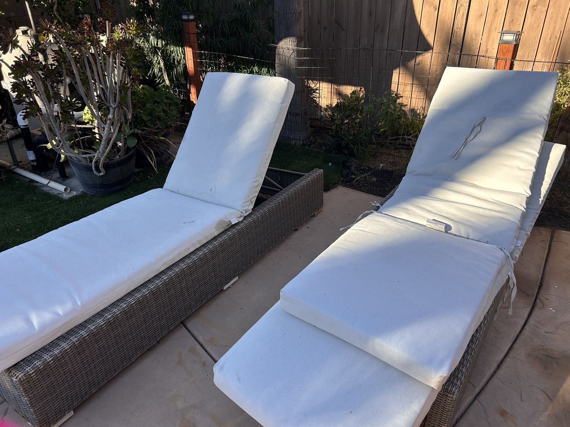 Longe Pool Chairs