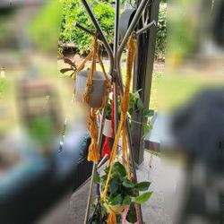 5 foot tall silver plant hanging stand
Comes with 6 crochet plant hangers and 5 indoor plants 🪴 