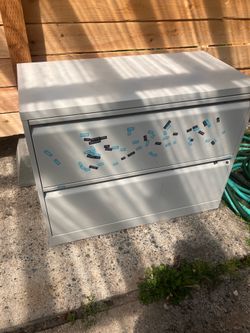 Wide 2-drawer File Cabinet