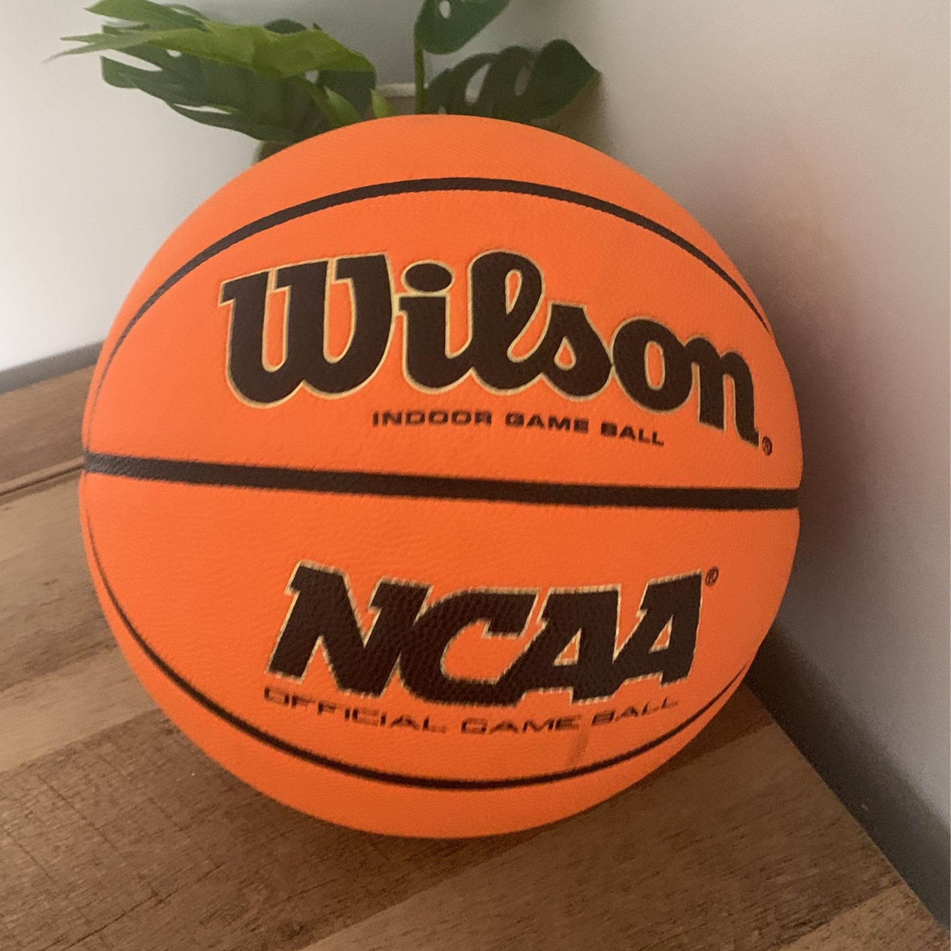 Wilson evo basketball