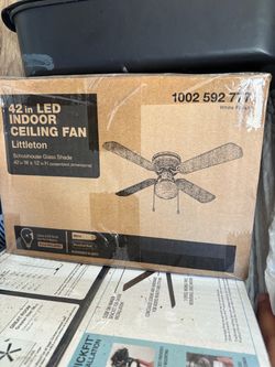 Ceiling fan