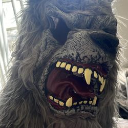 Kids halloween costume - werewolf