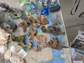 Driftwood different Prices