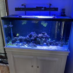 90 Gallon Reef tank W/ Everything