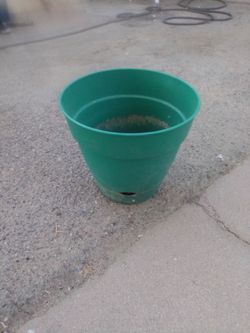 Flower Pot