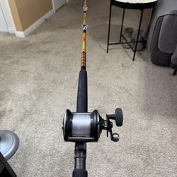 Ugly Stik Tiger/ Penn 545 Saltwater Fishing Setup