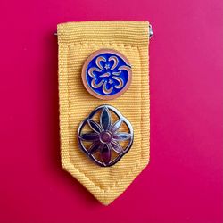 Girl Scout Daisy Insignia Pack