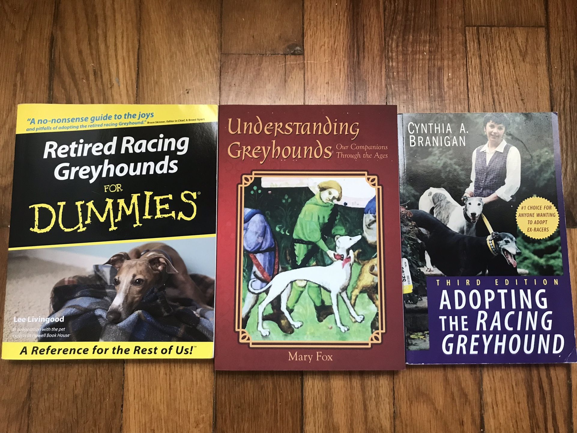 Greyhound Books - Care and History
