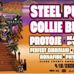 Reggae in the desert