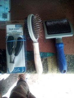 Dog Brush/Grooming