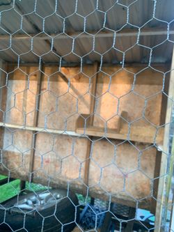Chicken house
