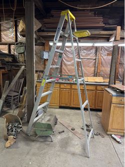 Folding ladder