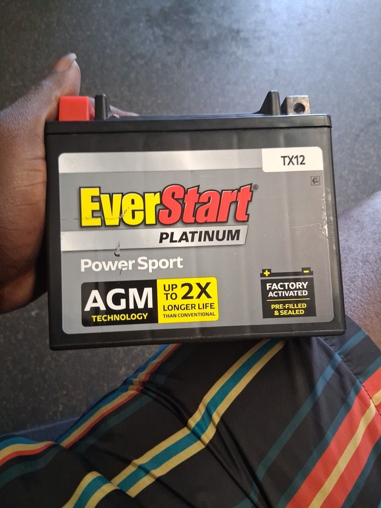 Everstart Battery