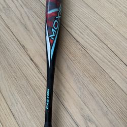 Easton Baseball Bat 