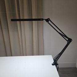 Adjustable Desk Lamp