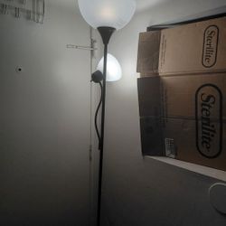 Floor Lamp $25 No delivery 