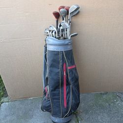 Golf Clubset 16 Irons And Bag