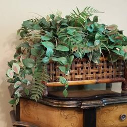 Mixed Philodendron and Fern Plant Arrangement in Bamboo Planter