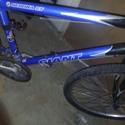 Giant Women Montain Bike 