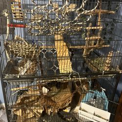 Pet Cage