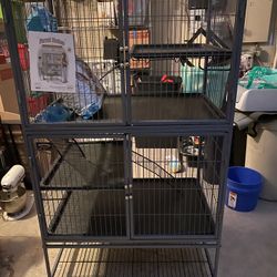 New Ferret Nation
