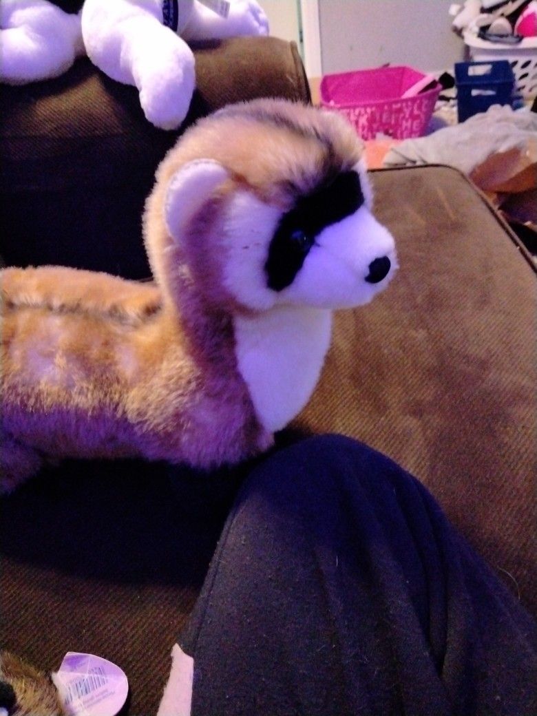Ferret Stuffed Animal 