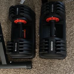 Dumbbell Weights  11-55 Lbs 