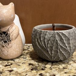 2 Plants (air Plant And Succulent)