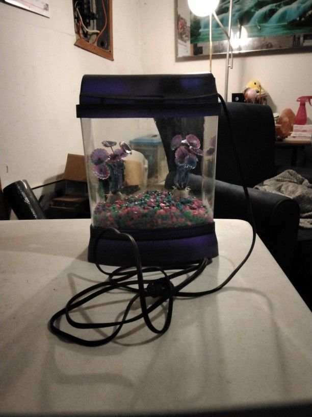 Small Fish Tank With Light,  Includes Rocks, Pebbles, And 2 Plants