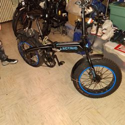 Electricit Bike 