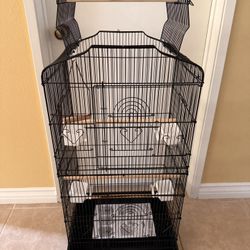 Birds Cage 