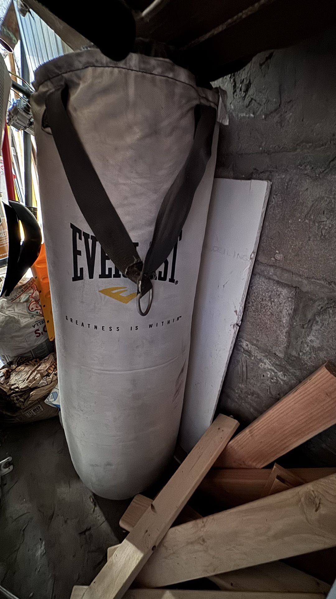 Everlast Punch Bag 100 Lbs