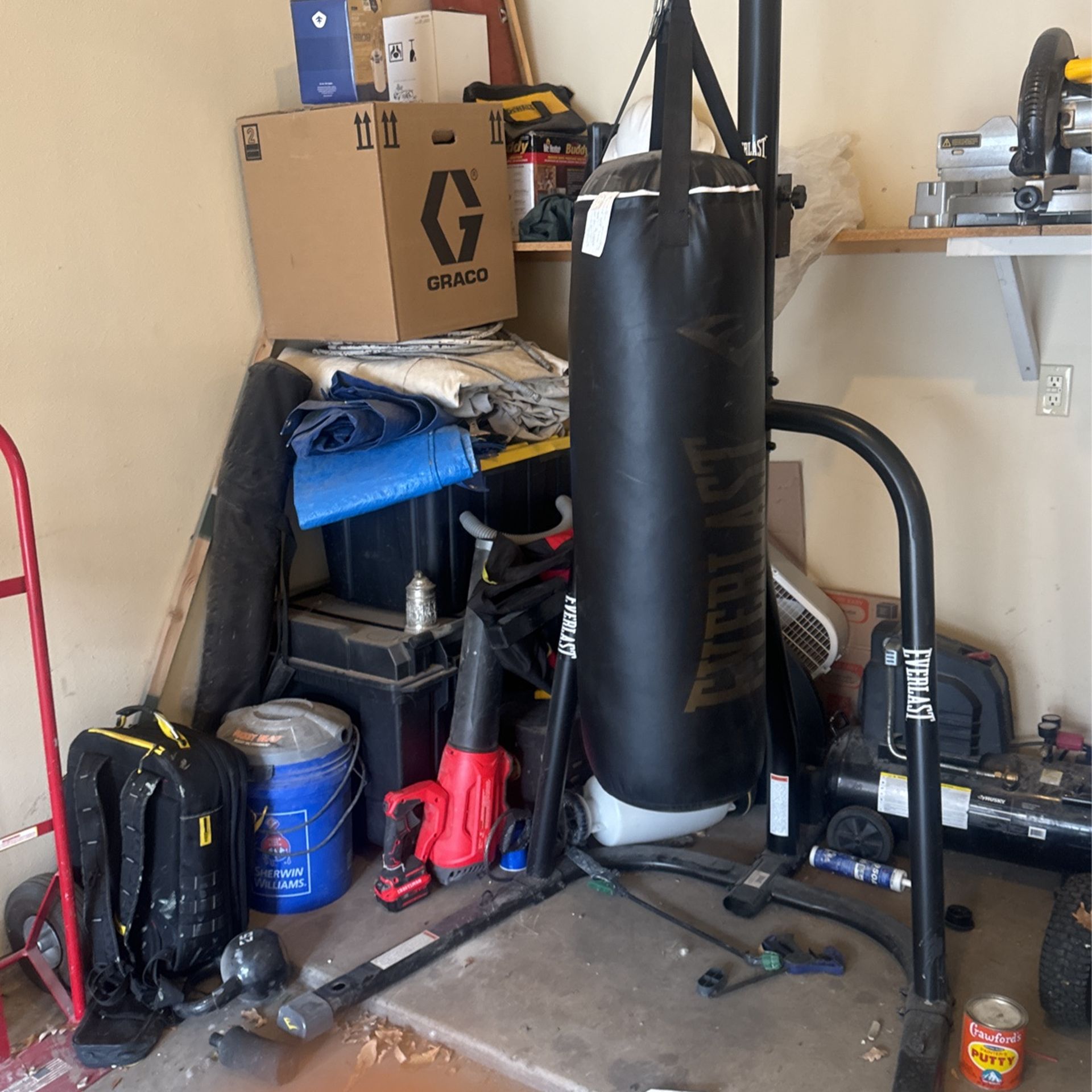 Everlast Punching Bag