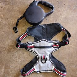 2-1 HARNESS - SEATBELT / LEASH