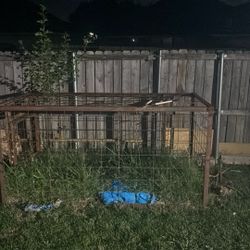 Hog Trap