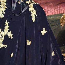 Ballroom Gown/quienieta Dress 