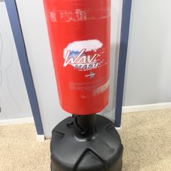 Standing Punching Bag 