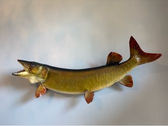 Taxidermy-fish mount