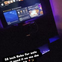 58 Inch Roku Tv