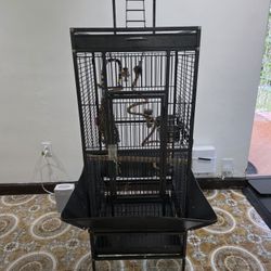 Bird Cage