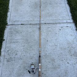 Fishing Rod With Fishing Reel
