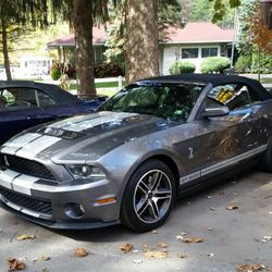 2010 Ford Shelby Gt500