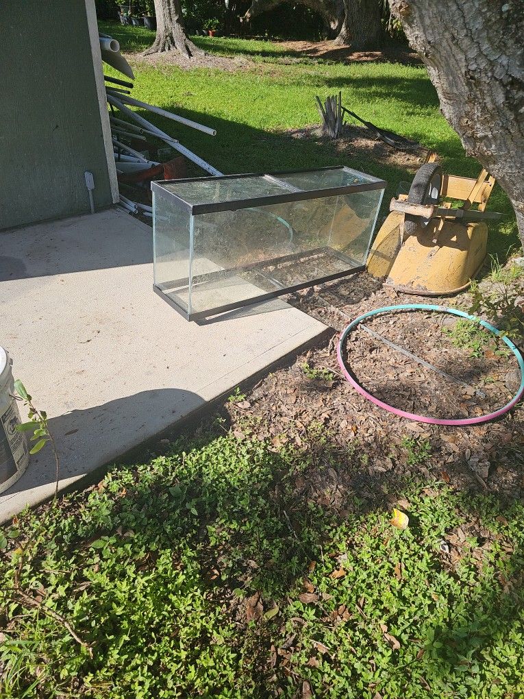 Free Aguarium