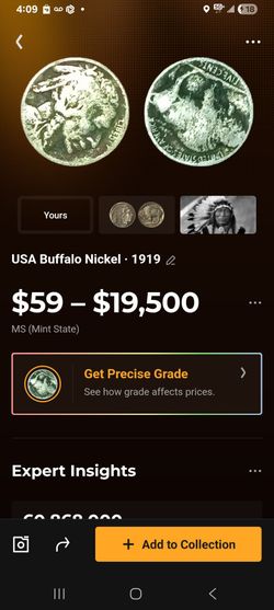 USA 1919-S Buffalo nickel coin