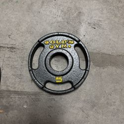 Gold’s Gym Metal Weight Plates 