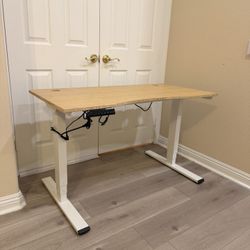 Electric Standing Desk Dual Motor 